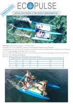 ECOPULSE-1
